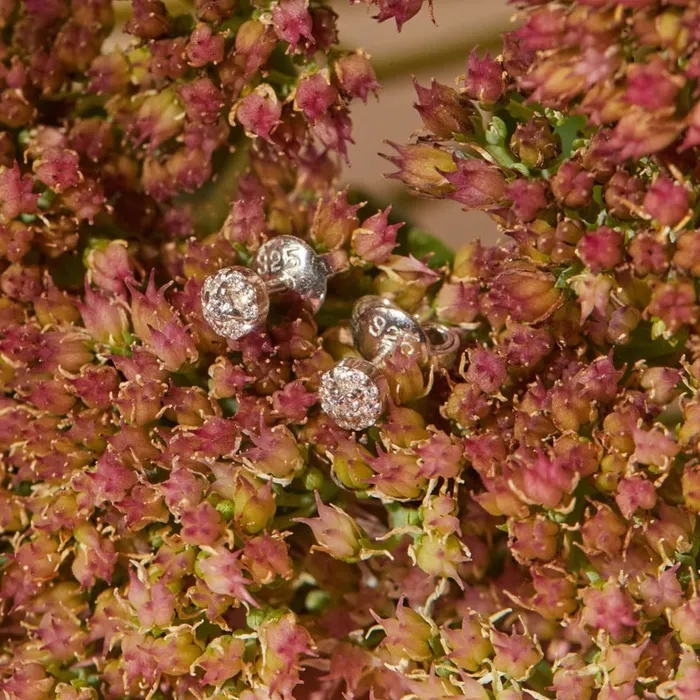 Elpis Crystal Sterling Silver Earrings Ema Jewels Earrings